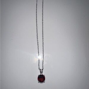 🛍️BLACK FRIDAY DEAL🛍️BRAND NEW Garnet January birthstone necklace
